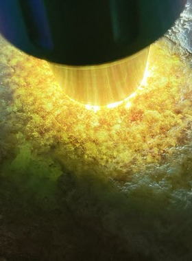 T11998 缅甸天然翡翠原石老坑大马坎场口料，重0.8公斤