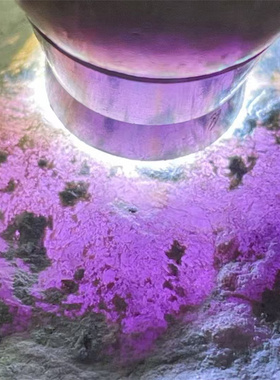 M18923 缅甸天然翡翠原石老坑木那场口春料手镯料 重1.8公斤