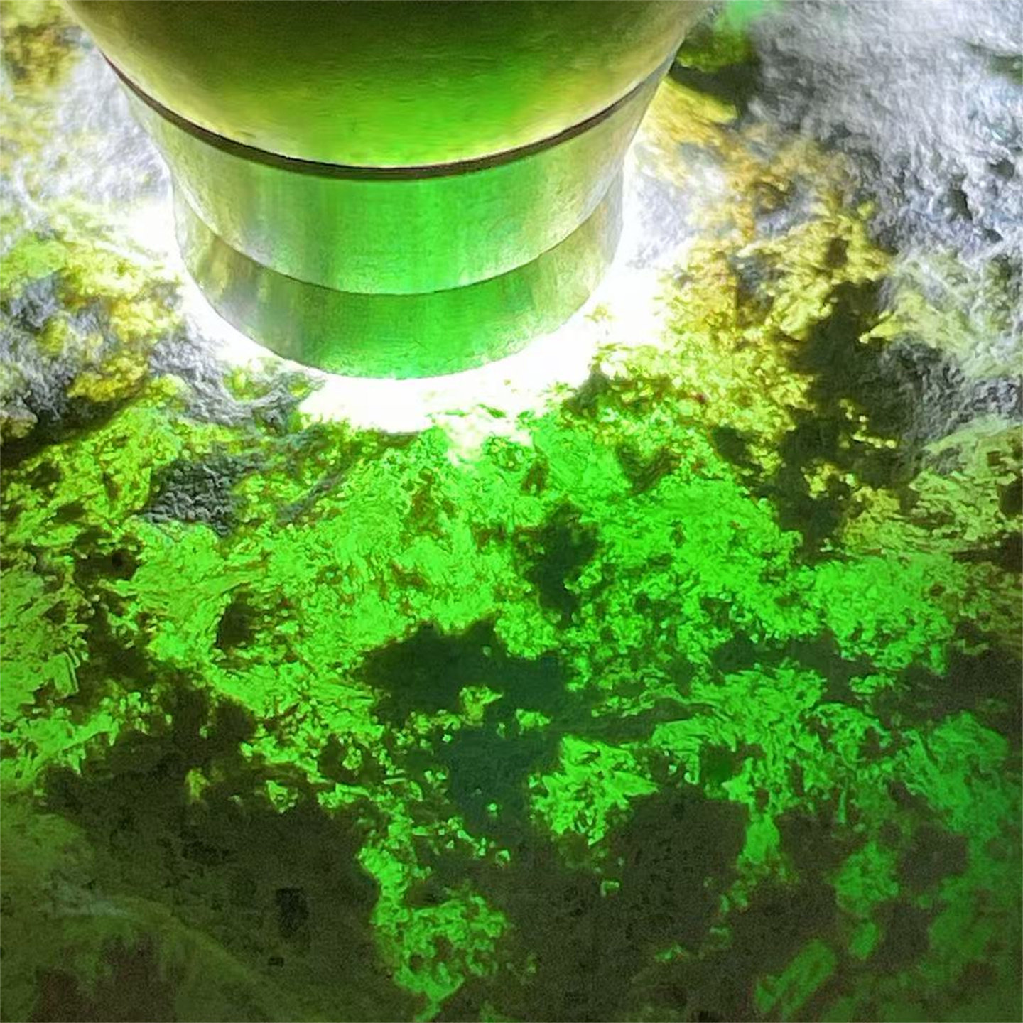 TT17866缅甸天然翡翠原石老坑木那场口飘花手镯料 重1.7公斤