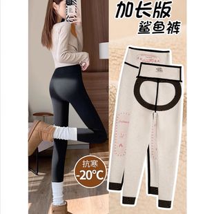 高腰收腹提臀鲨鱼裤 加绒打底裤 加厚绒裤 保暖棉裤 子 冬外穿2025新款