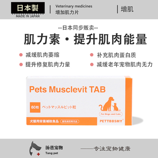 日本原产 肌力素宠物增肌片减缓肌肉萎缩犬猫后肢无力增加肌力片