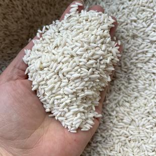 海阳大米海阳海边盐碱地种植晚茬沽头稻香米当季新米10斤包邮