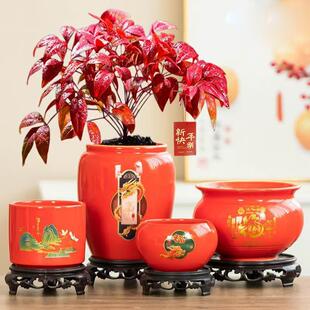 火焰蓝天竹花盆家用陶瓷红盆喜庆发财树盆栽室内桌面多肉植花物盆