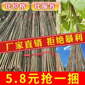 竹杆菜园搭架豆角黄瓜栅栏