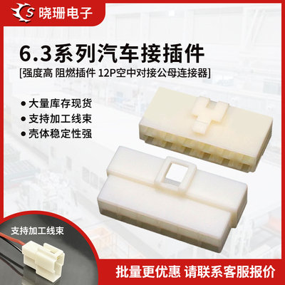 6.312P汽车接插件插头