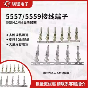 铜簧片 公母端 接线簧片公母壳冷压端子 5559接线头子 连接器5557