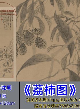 明代沈周荔柿图/古画原图高清微喷绘打印电子版荔枝柿子素材图片