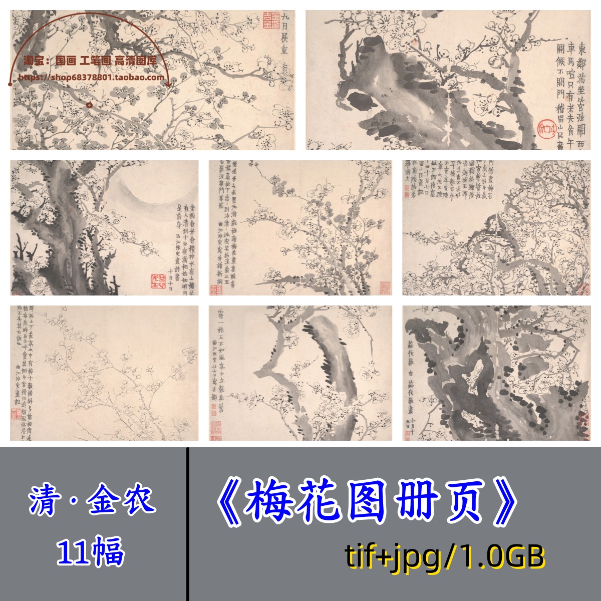 清代金农梅花图册页/扬州八怪写意梅花集国画水墨临摹写生电子图
