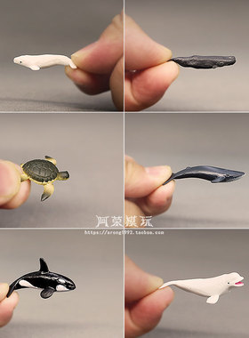 滴胶素材迷你海洋生物模型 小号蓝鲸白鲸虎鲸抹香鲸鱼海龟小摆件