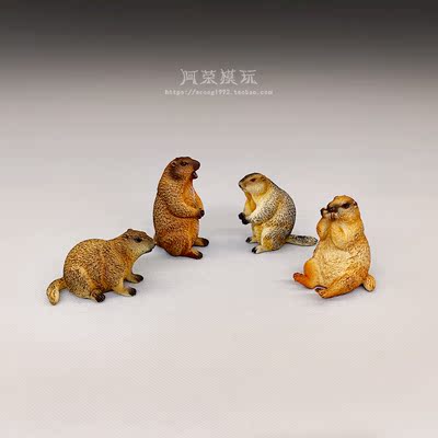 仿真松鼠科野生动物模型 旱獭 土拨鼠宠物模型认知玩偶小摆件