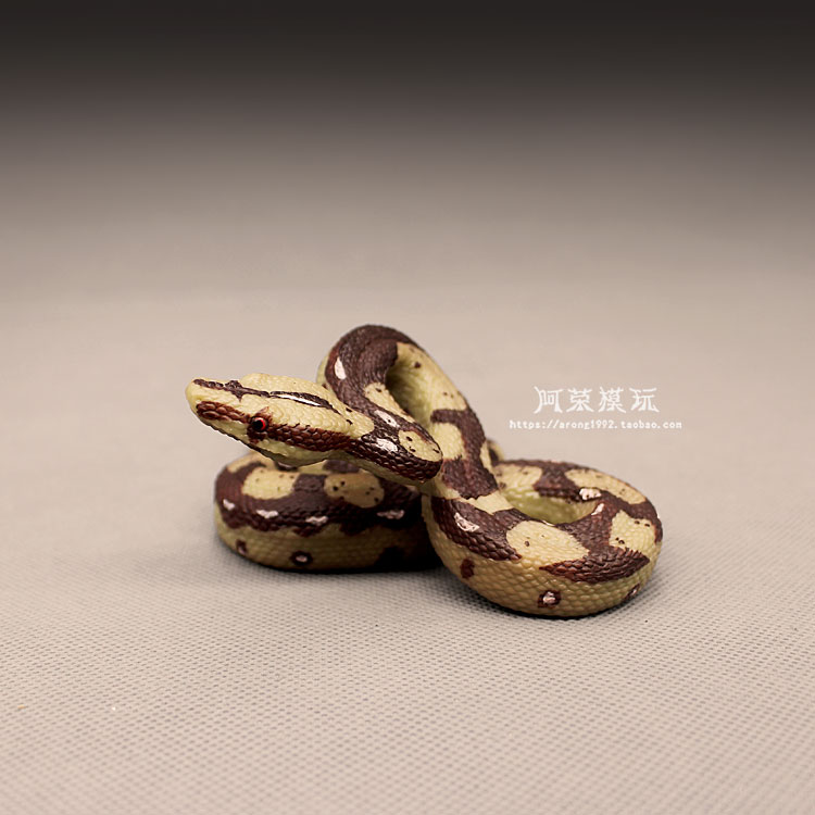 认知仿真爬行动物冷血动物模型