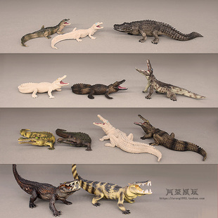 仿真爬行动物模型 尼罗鳄野猪鳄短吻鳄变异白化鳄鱼摆件认知玩具
