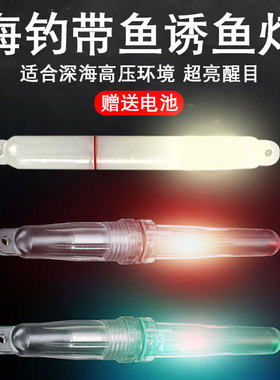 海钓带鱼水下诱鱼灯 烟式七彩聚鱼灯集鱼灯钓刀鱼LED夜光灯带电池