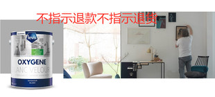 来威漆奥瑞丝臻境内墙面漆5L油漆/涂料