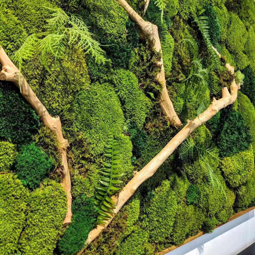 苔藓微景观青苔草坪假草皮人造绿色植物墙室内户外造景绿植批发
