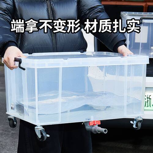 乌龟缸带排水特大带盖生态造景塑料晒台透明周转收纳箱乌龟饲养缸