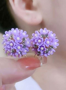 气质花朵耳环女2026新款爆款高级感轻奢百搭大气紫色耳饰银针耳钉