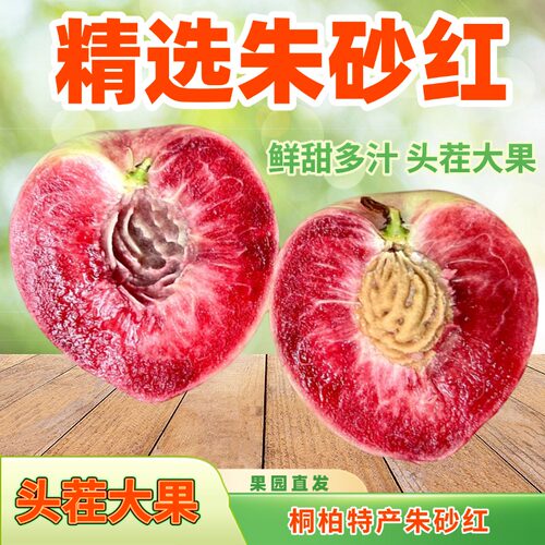 桐柏血桃朱砂红新鲜脆甜桃子