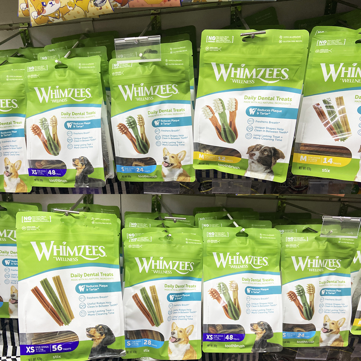 荷兰Whimzees狗洁齿骨磨牙棒咬胶