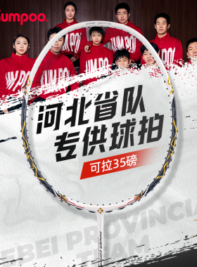 薰风国伦2300河北省队羽毛球拍全碳素进攻型专业训练比赛单拍正品
