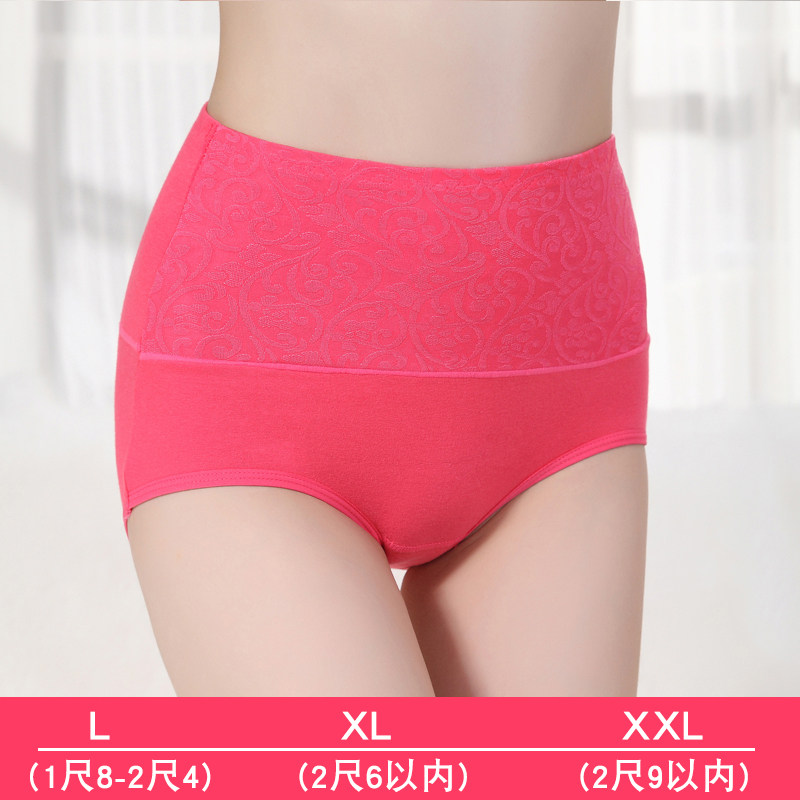 Slip jeunesse en coton - Ref 666608 Image 4