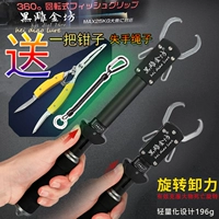 На низовом уровне черная резная рыба черная рыба Черная Bea захватывает золотые клыки и демонстрируйте рыбную плавную зажимные зажимы Techlet пресноводная морская вода 27 см.