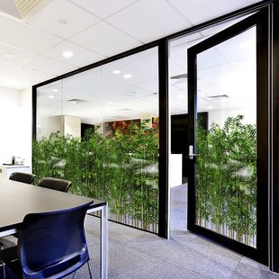 办公空间竹海绿植橱窗美化竹子竹林森林氧吧贴膜会议室遮丑静电膜