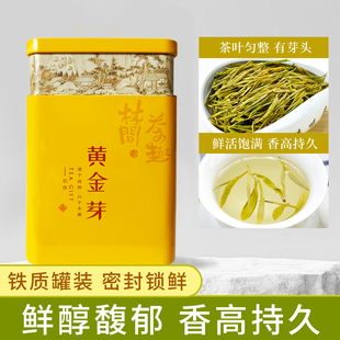 杯口留香黄金芽茶叶新茶雨前白茶绿茶浓香春茶珍稀罐装黄金叶