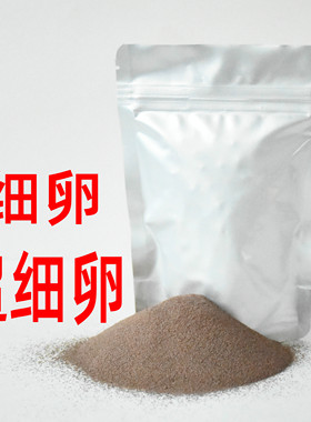 可孵化丰年虾小卵渤海湾盐田超细卵 卤虫卵 燕斗鱼虾苗开口鱼饲料