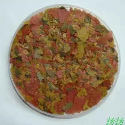 薄片鱼饲料孔雀鱼小型热带鱼鱼食