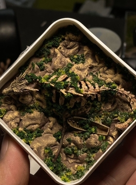 恐龙骨架化石微缩景观精美礼品送人生日雨林苔藓无菌保暖