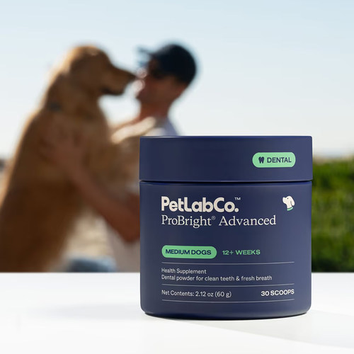 PetLabCo-ProBright除牙垢牙菌斑清新无需牙刷宠物狗狗高级洁牙粉