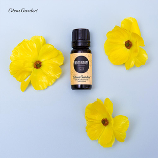 Garden 改善情绪平衡减轻压力 伊甸园 Boost 复方精油 Mood Edens