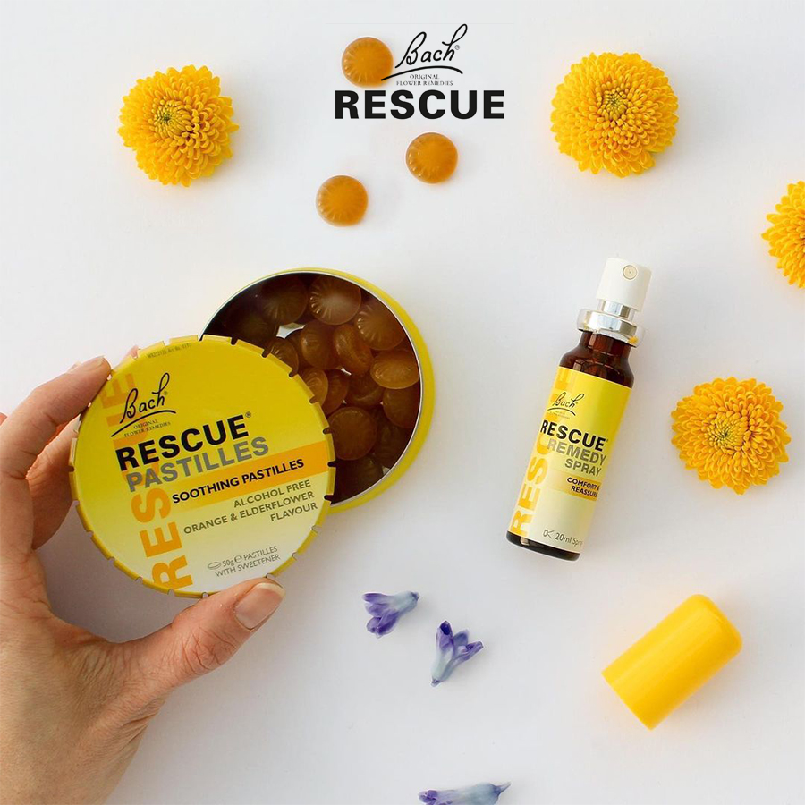 Bach Rescue-瑞士天然无蔗糖考试紧张接骨木蔓越莓黑加仑软糖50g