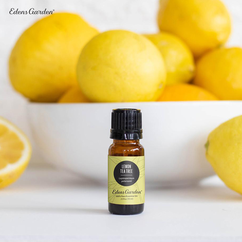 Edens Garden-伊甸园 Lemon Tea Tree 柠檬茶树 愉悦活力单方精油