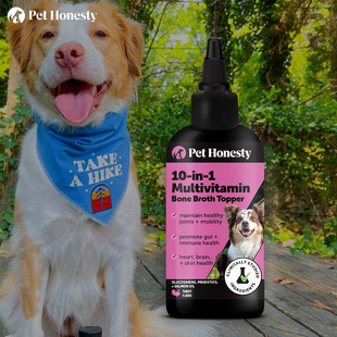 Pet Honesty-益生元后生元促进整体健康蛋白质维生素 狗狗补充剂