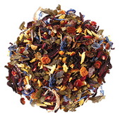 Forte SPICED GINGER Tea PLUM香姜李子无因花草茶独立袋装 一袋4g