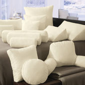 阅读 美国拥软 纯棉 50%细小白鸭羽毛 特种羽绒枕 50%白鸭绒