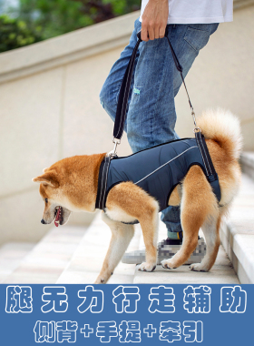老年狗辅助衣高龄犬残疾犬辅助带狗狗行走障碍后腿无力宠物辅助衣