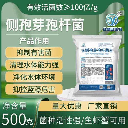 侧孢芽孢杆菌微生物菌剂水产养殖