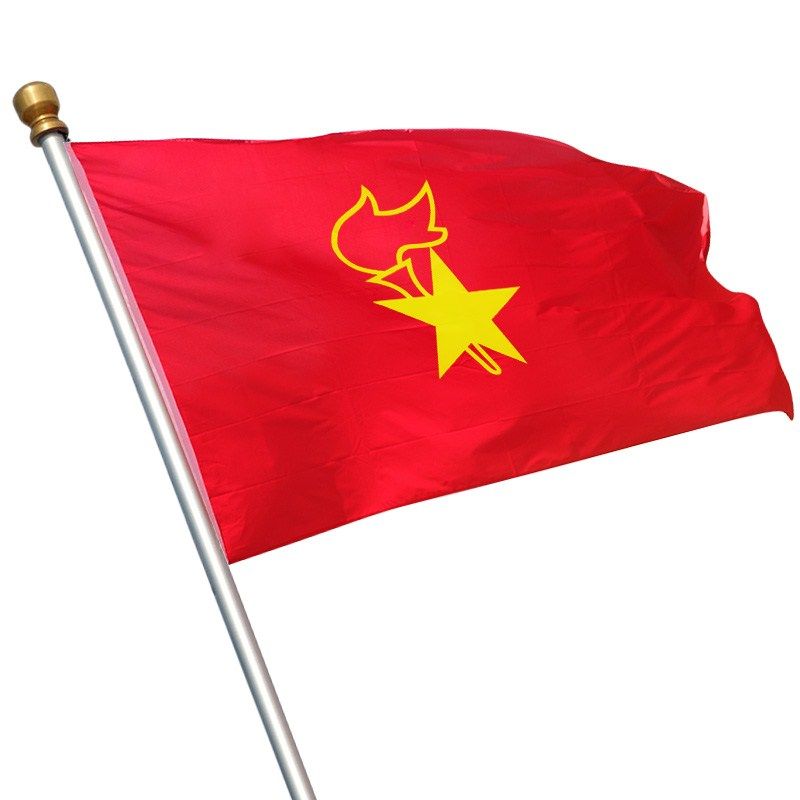 队旗 少先队旗少先队员大队中队小