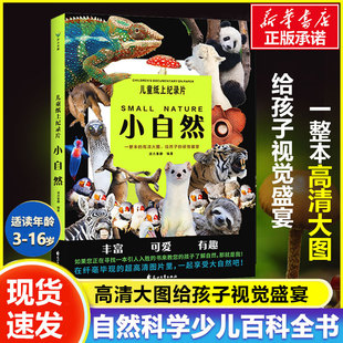 高清大图 给孩子 正版 波点童趣 书籍 磨铁图书 一整本 少儿科普绘本百科全书课外读物绘本漫画 儿童纸上纪录片小自然 视觉盛宴