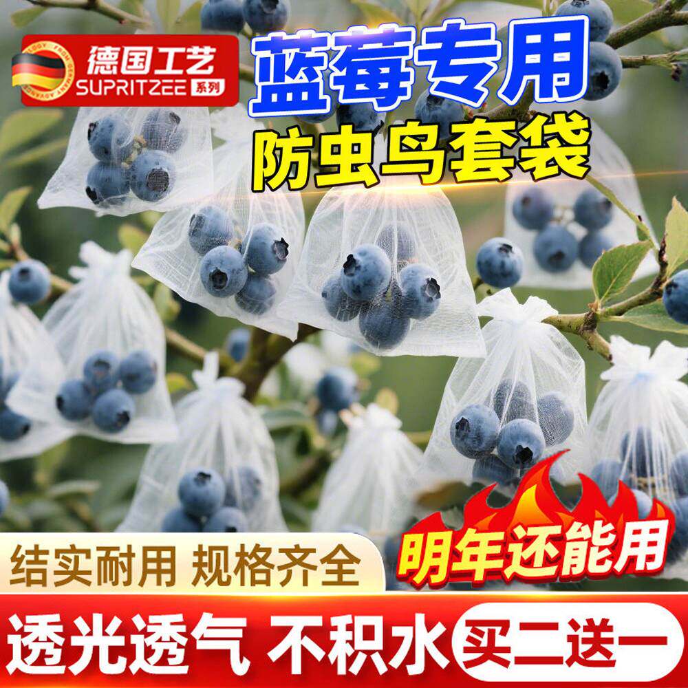 蓝莓套袋专用果袋草莓樱桃果树果子防鸟防虫无花果车厘子果实套袋