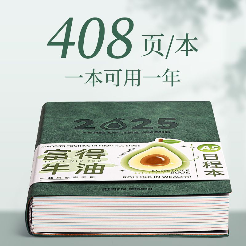 2025年日程本新款每日计划本一日一页工作日历记事本效率手册a5私