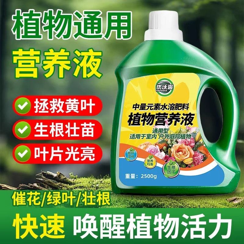 营养液植物通用型黄金葛富贵竹发财树多肉水培养花卉绿植盆栽花肥