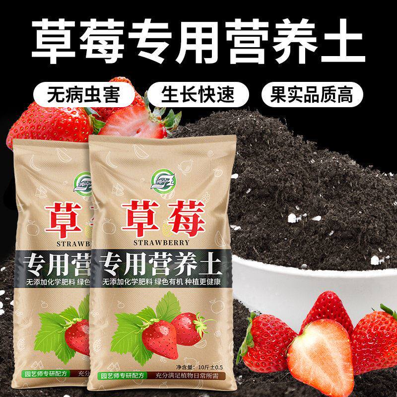 草莓专用营养土瓜果树通用土壤草莓盆栽种植土阳台有机土肥料