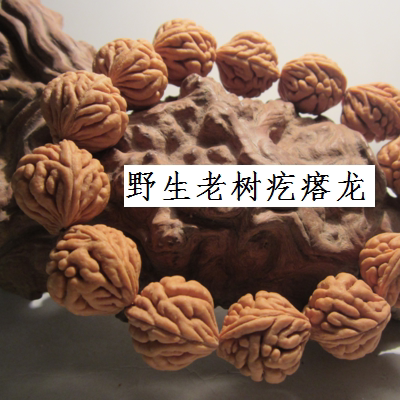 老树疙瘩龙精品 秦岭野生龙纹桃核 刺龙正圆金鱼肚霸王龙男士手串 - 封面