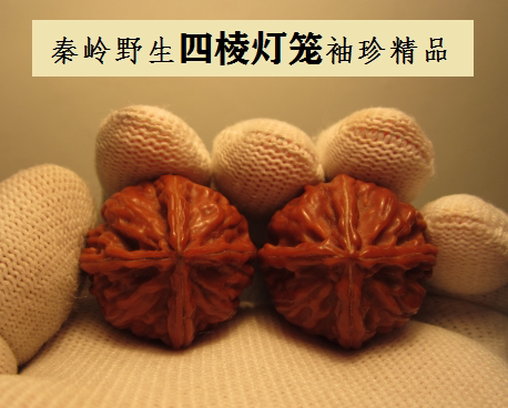 秦岭野生 文玩狮子头三棱异型女生小尺寸手捻京八楞 袖珍四棱灯笼