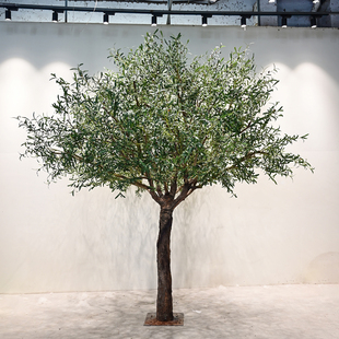 仿真橄榄树仿生假树仿真树玄关造景大型室内外装饰绿植简约马醉木