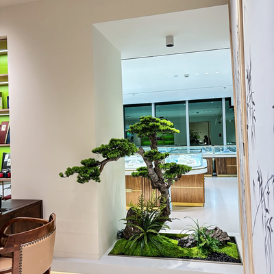 高端会所景观装饰大型落地罗汉松